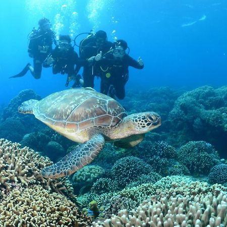 Shenanigans Glamping Resort Zamboanguita  Eksteriør billede