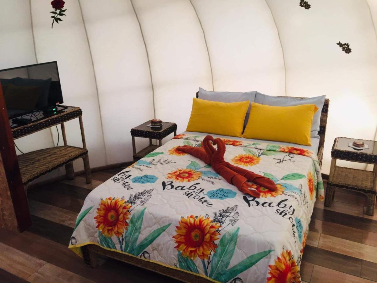 Shenanigans Glamping Resort Zamboanguita  Eksteriør billede
